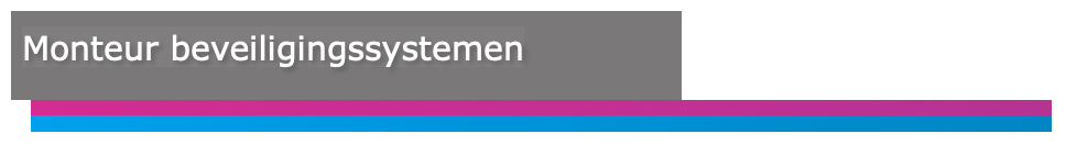 Job opening for Monteur Beveiligingssystemen