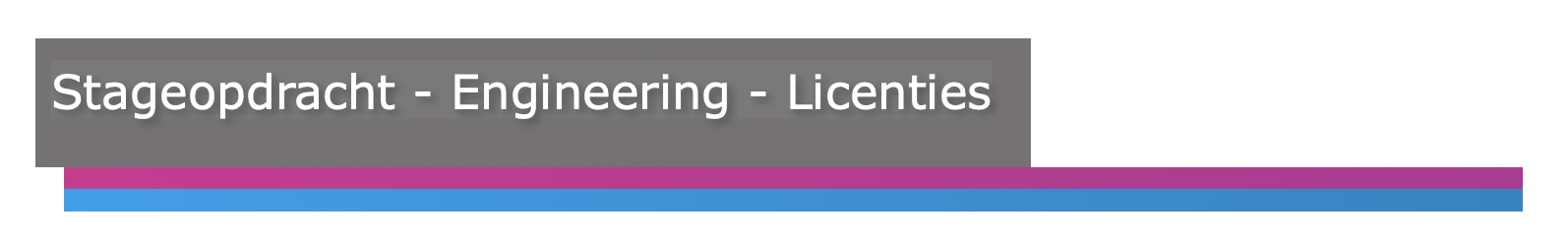 Stage Opdracht - Engineering - Licenties
