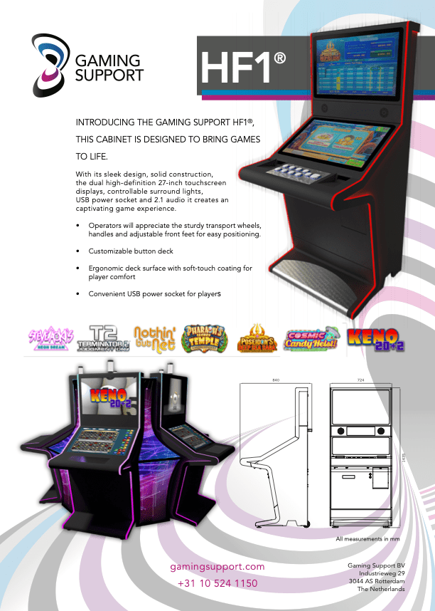 Bingo 20+2 Electronic Gaming Machine Flyer