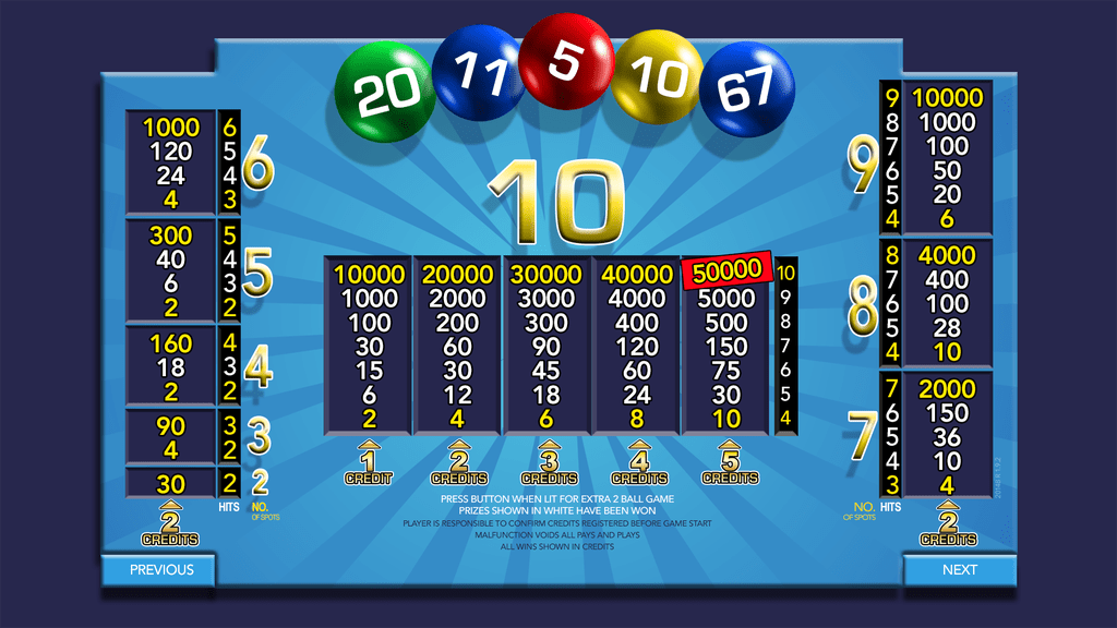 Bingo 20+2 Electronic Gaming Machine Screenshot