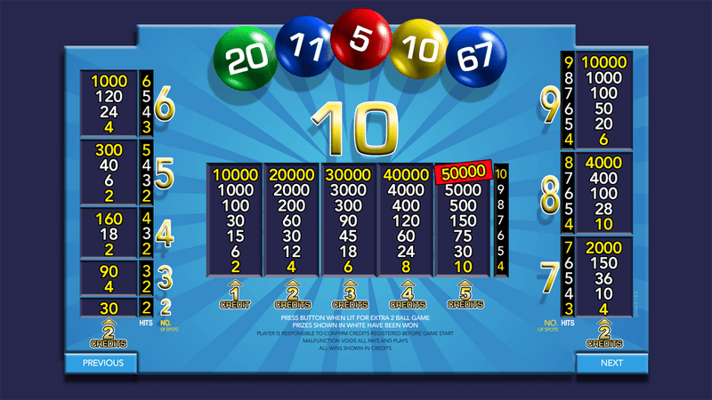 Bingo 20+2 Electronic Gaming Machine Screenshot